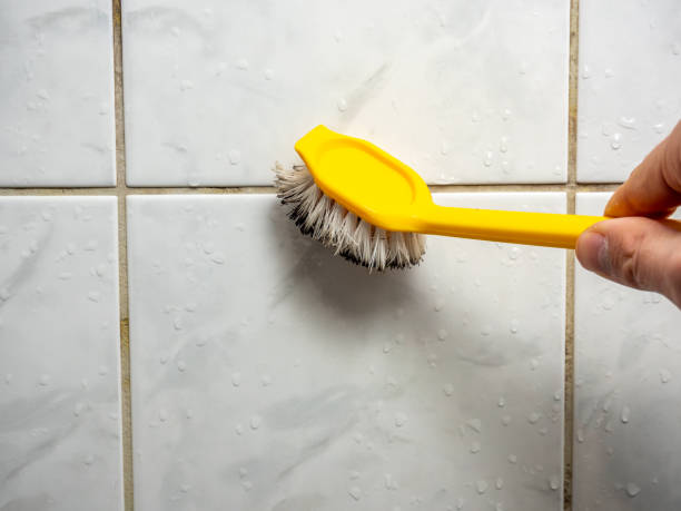Best Best Mold Removal Companies  in Delphi, IN