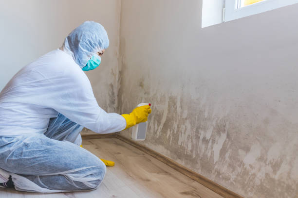 Mold Testing and Removal in Delphi, IN