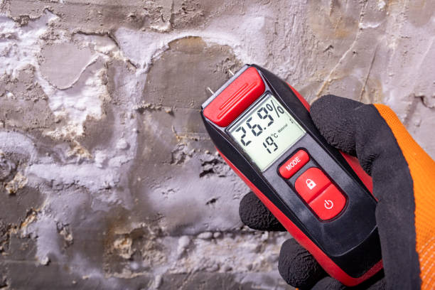 Best Mold Remediation Services  in Delphi, IN